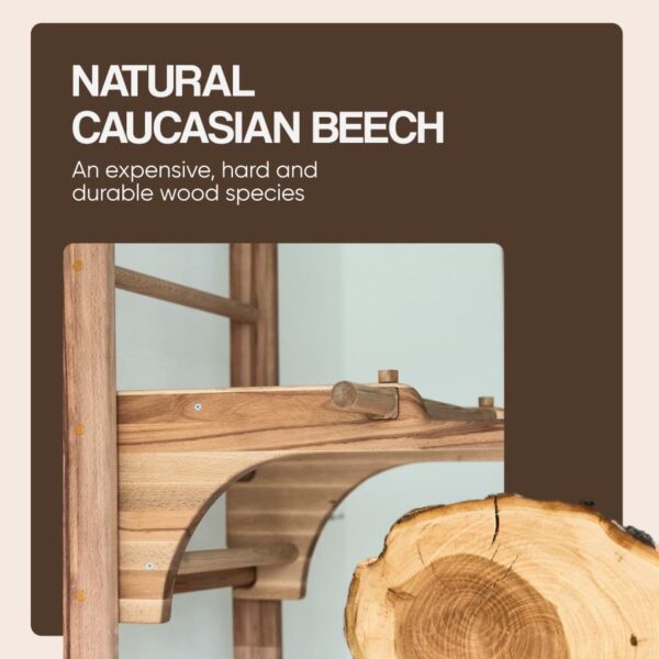 wooden wall bars